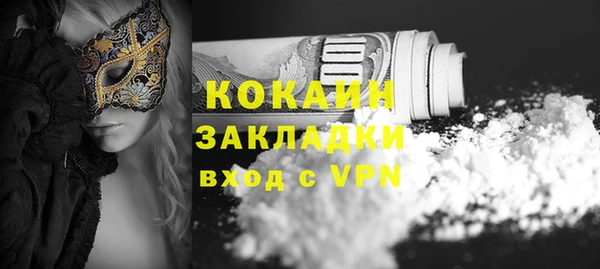 прущие грибы Куйбышев