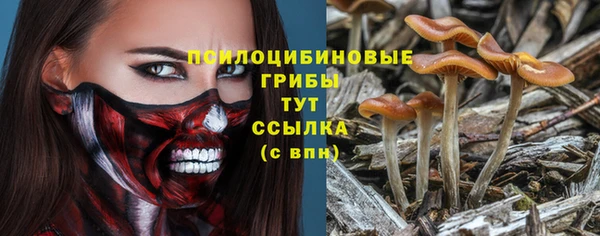 прущий лед Абаза