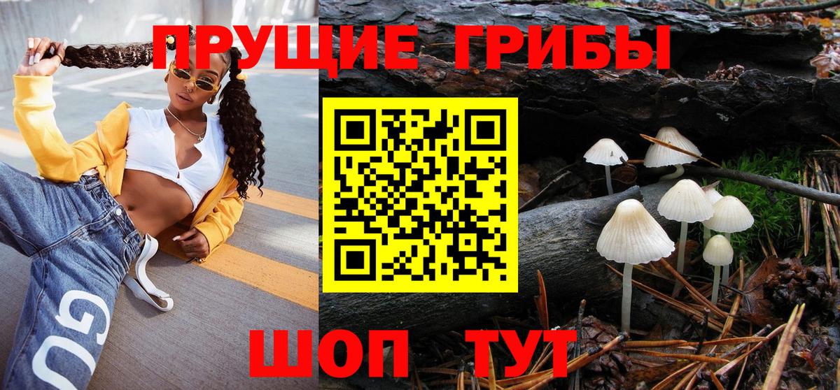 Галлюциногенные грибы ЛСД  где продают наркотики  Энгельс  Псилоцибиновые грибы прущие грибы  Вход с VPN 