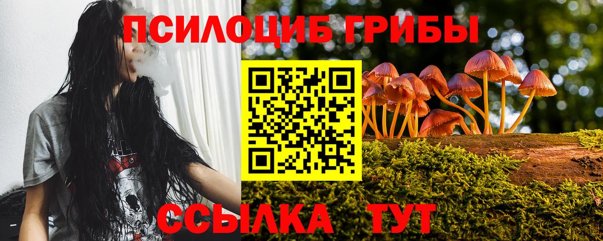 Псилоцибиновые грибы мицелий Энгельс